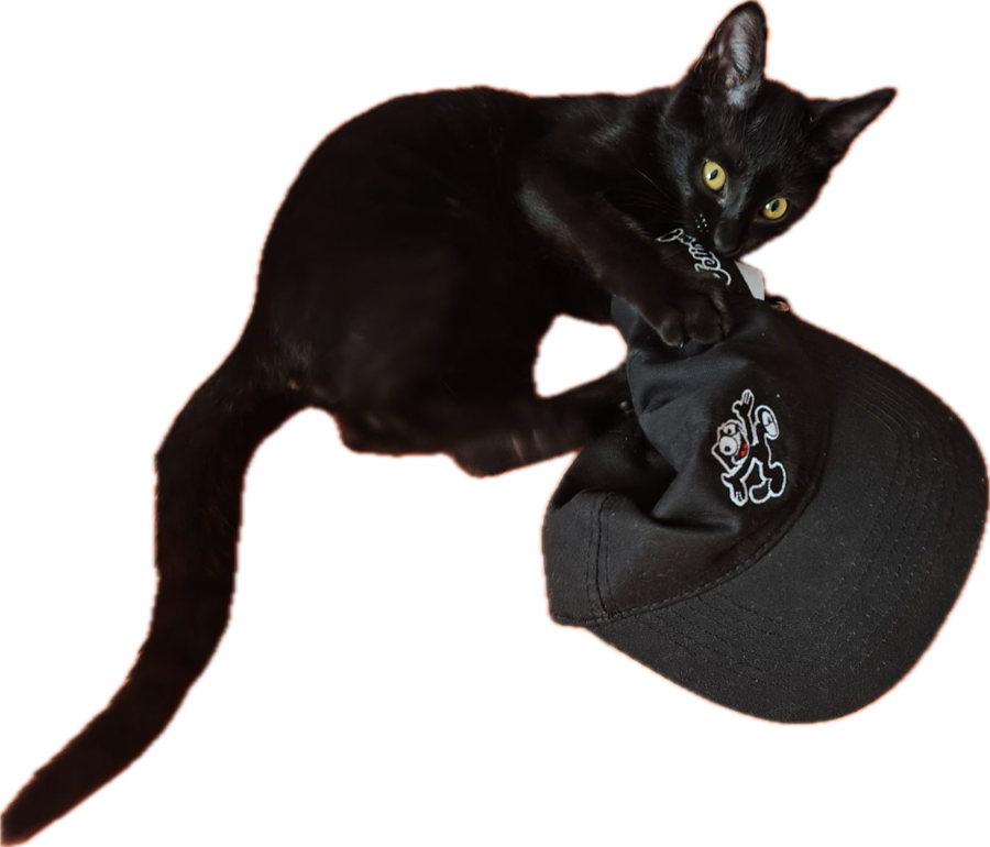 Oz mordiendo una gorra negra
